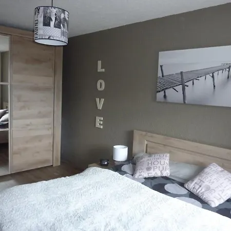 Pied Des Pistes Apartment *